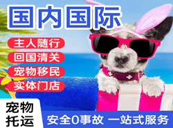 荆州沙市航空物流国际宠物托运 【国